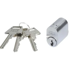 ABUS GDS CYLINDER OVAL NIKKEL 1 STK