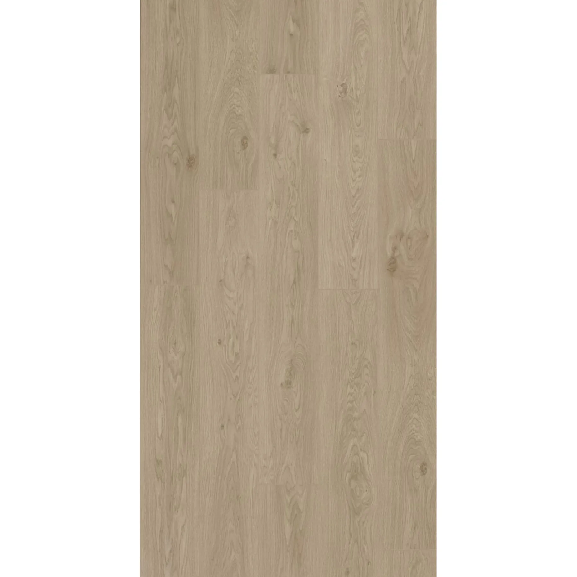BERRYALLOC TRENDLINE LAMINATGULV LILY OAK
