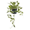 BOLIGINTERIØR VOKSBLOMST KUNSTIG PLANTE 33 CM