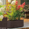 DEROMA MILLENIUM 208-609 PLANTEKASSE PLASTIK ANTRACITGRÅ L59 CM