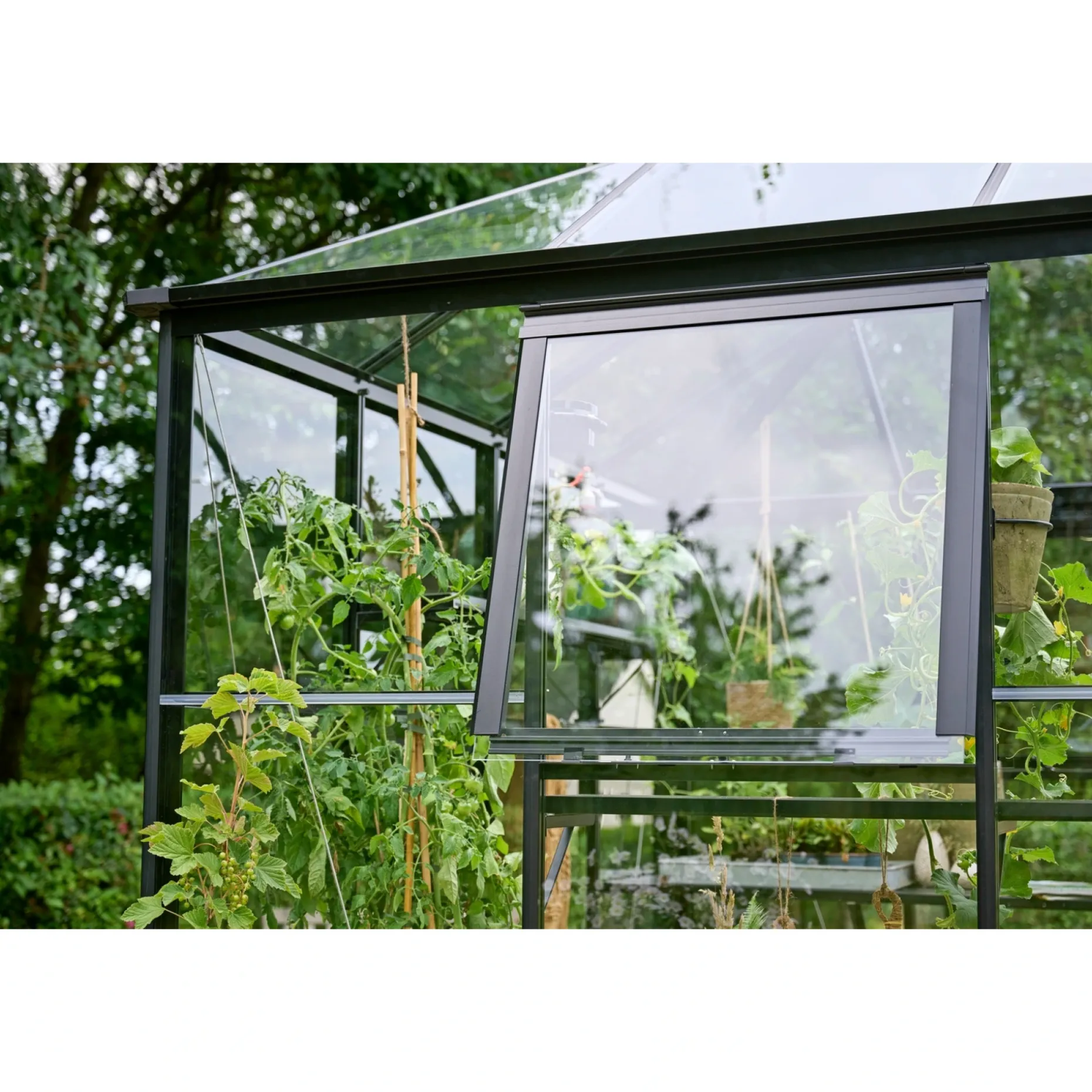 HALLS QUBE SQUARE DRIVHUS 3 MM HÆRDET GLAS HELE BANER SORT 6,3 M2
