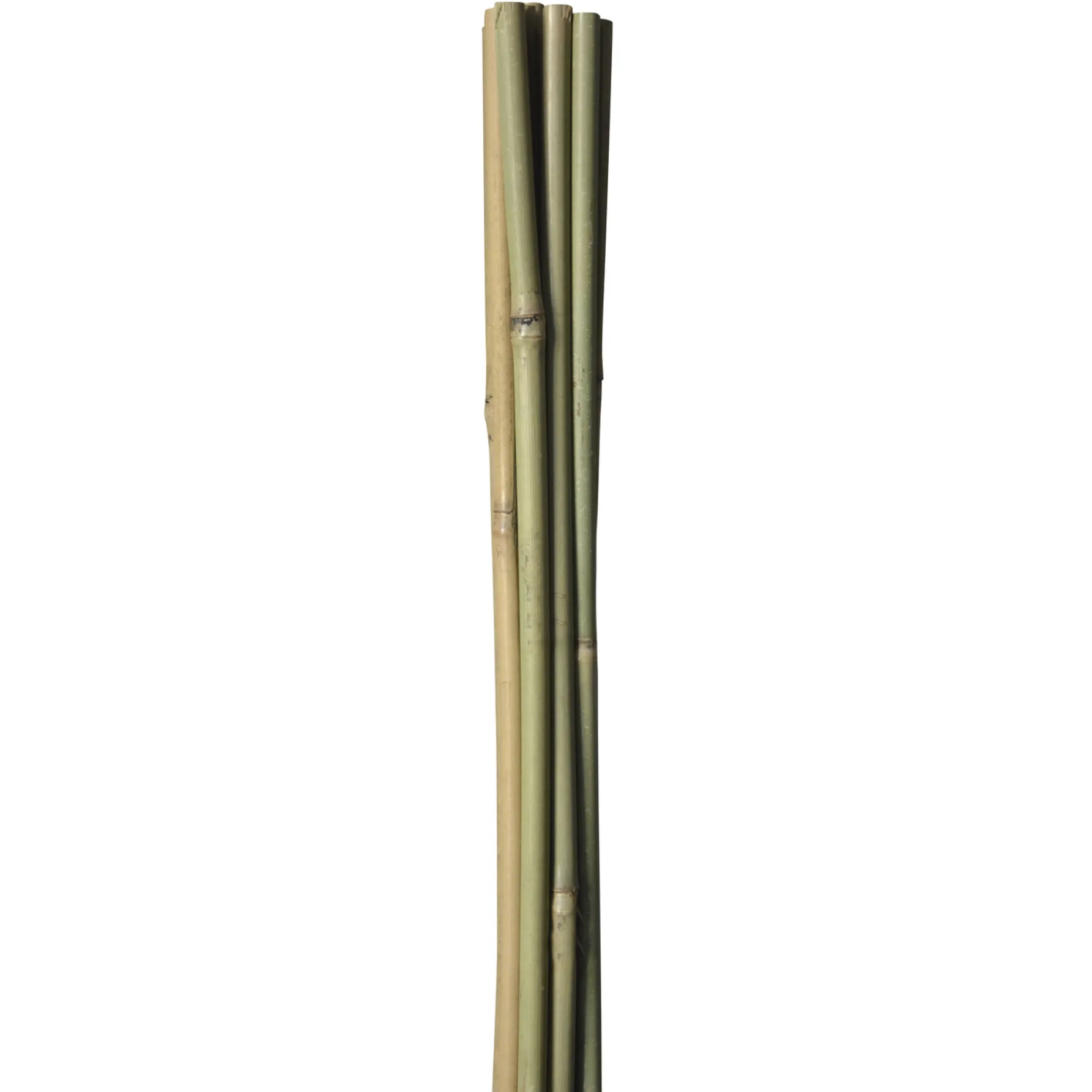 HOME IT GARDEN BAMBUSPINDE 150 CM