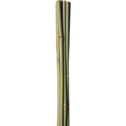 HOME IT GARDEN BAMBUSPINDE 180 CM