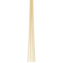 HOME IT GARDEN BLOMSTERPINDE 50 CM