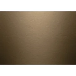 JAMES HARDIE GLAT HARDIEPLANK 8 X 180 X 3600 MM KASTANJEBRUN