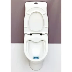 LAUFEN PRO N S-LÅS RIMLESS TOILET