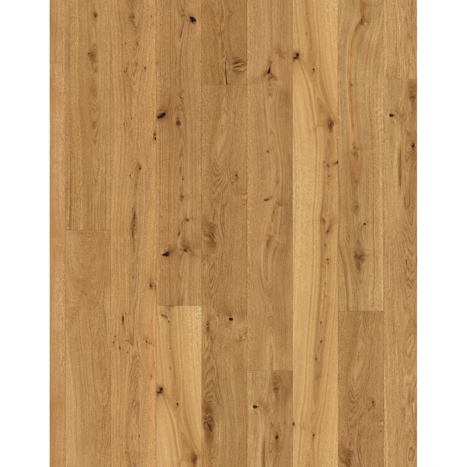 PARADOR CLASSIC 3060 LAMELPLANK PARKETGULV EG MATLAK NATUR