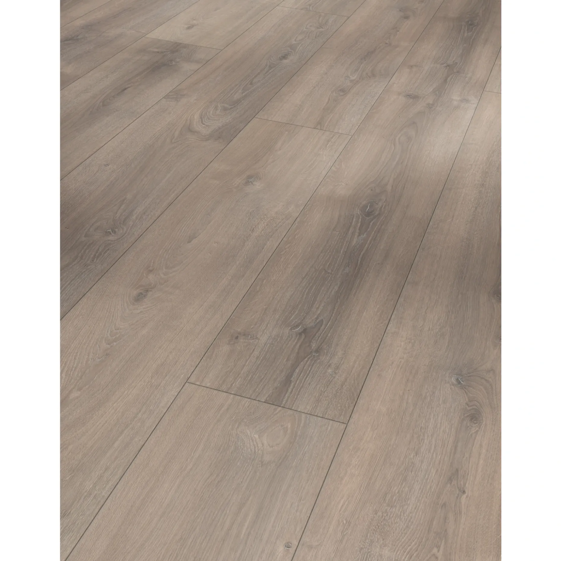 PARADOR TRENDTIME 6 LAMINATGULV EG VALERE MØRK KALKET