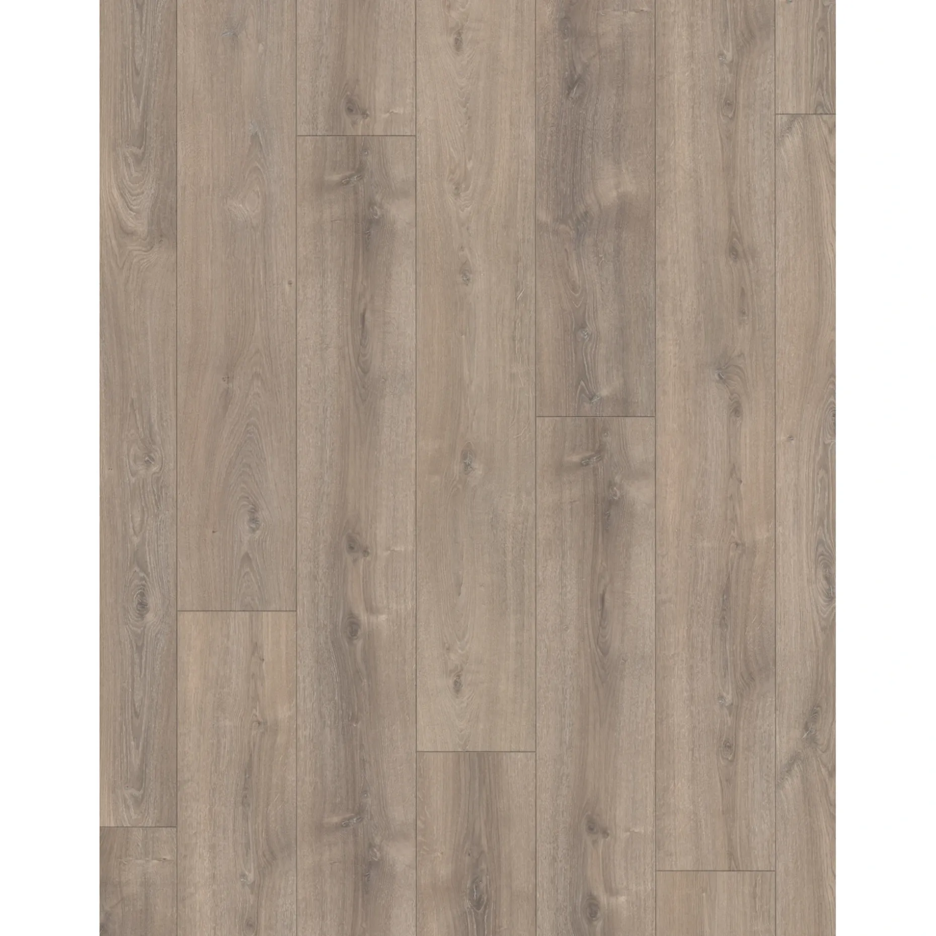 PARADOR TRENDTIME 6 LAMINATGULV EG VALERE MØRK KALKET