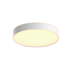 PHILIPS HUE WA ENRAVE L PLAFOND 34W HVID 476 MM