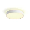 PHILIPS HUE WA ENRAVE M PLAFOND 19W HVID 437 MM