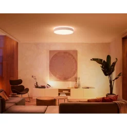 PHILIPS HUE WA ENRAVE XL PLAFOND 48W HVID 600 MM