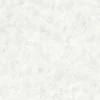 RASCH STUDIO 2027 BETON TAPET 0,53X10 M