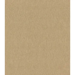 RASCH STUDIO 2027 METALLIC TAPET 0,53X10 M