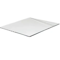 RIAS PROTERRA PLEXIGLAS 5 X 750 X 500 MM