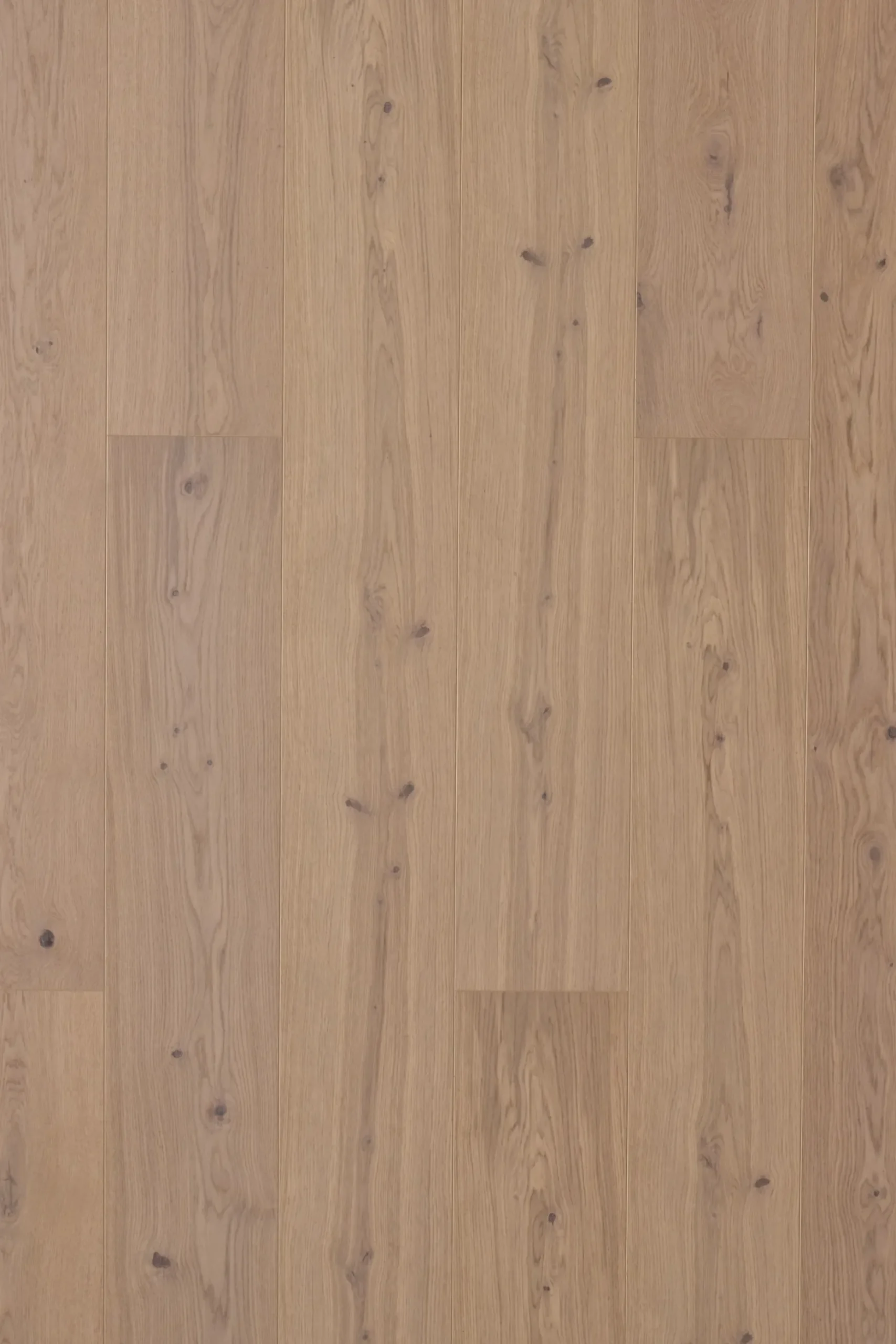 TIMBERMAN INNOPLANK PLANKEGULV EG ACCENT HVID